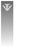 Anarchy Catalyst