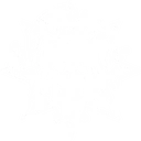 Invoker, S tier