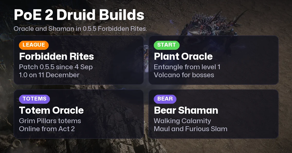 Best PoE 2 Druid Builds for 0.5.5 Forbidden Rites