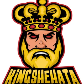 kingshehata — Call of Duty: Warzone PRO