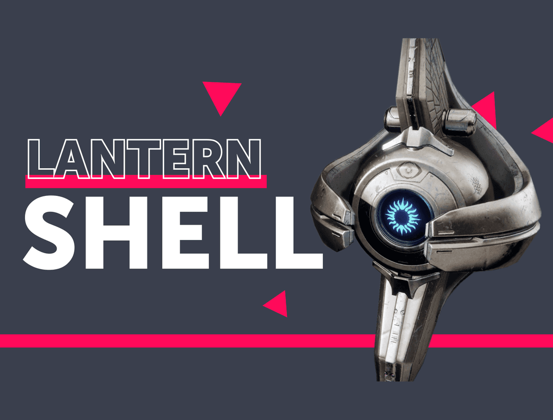Lantern Shell Guaranteed 