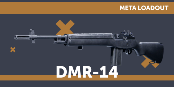 Buy CoD Cold War DMR-14 Unlock Boost | LFcarry