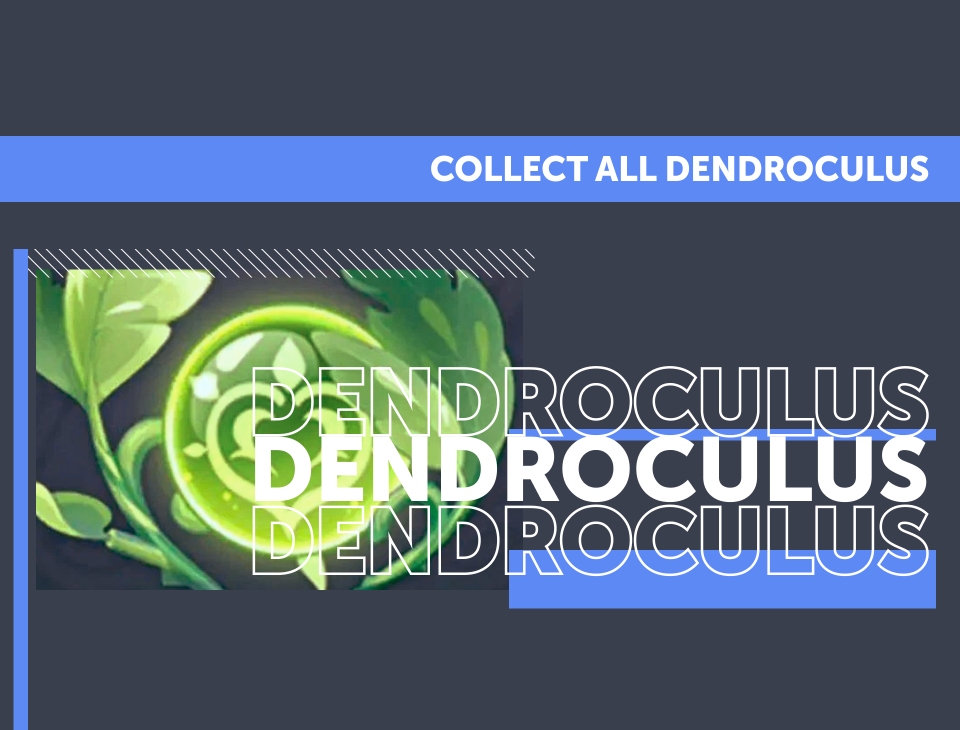 All 271 Dendroculus Collected